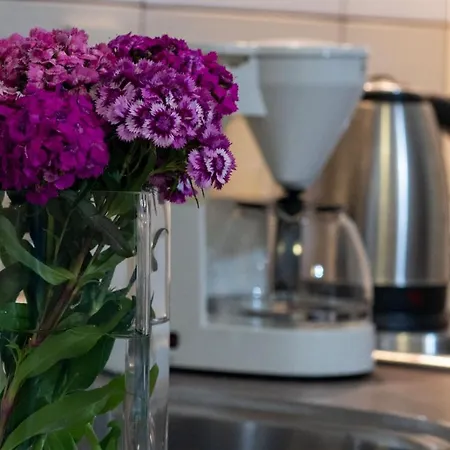 In With Terrace, Air Conditioning, Wifi, Washing Machine Appartamento Lopar